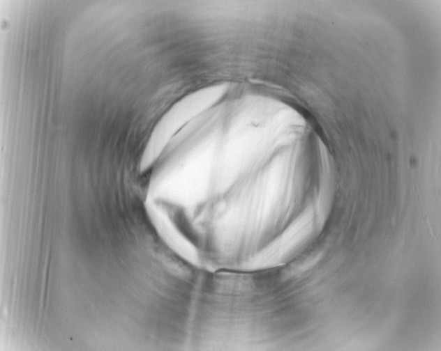 X0000088660432200706221640