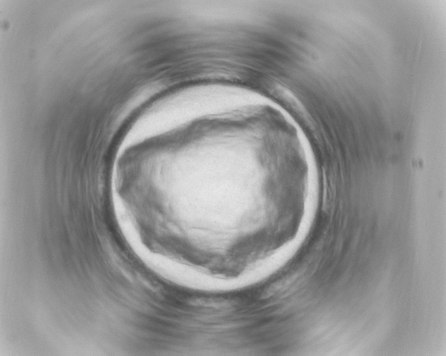 X0000088660435200706221639