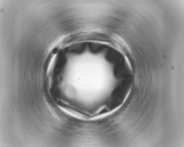 X0000088660436200706221639