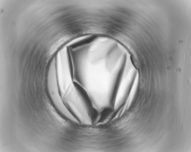 X0000088660437200706221639