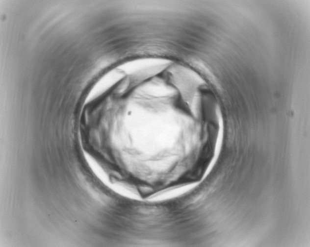 X0000088660439200706221639