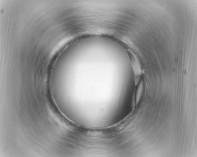 X0000088660440200706221639