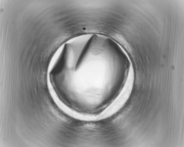 X0000088660441200706221639