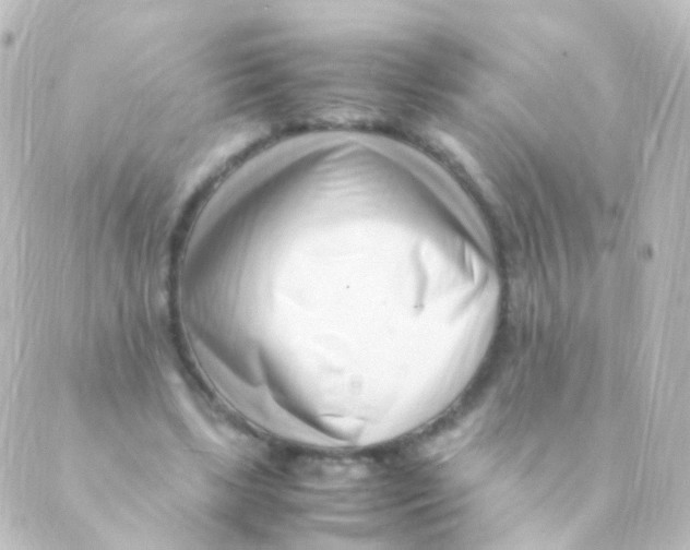 X0000088660443200706221639