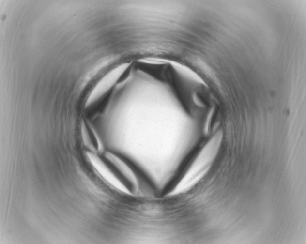 X0000088660444200706221639