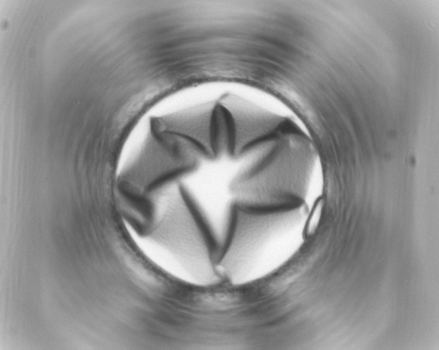 X0000088660445200706221639