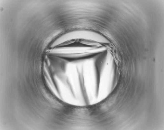 X0000088660446200706221639