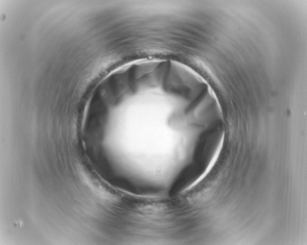 X0000088660447200706221639