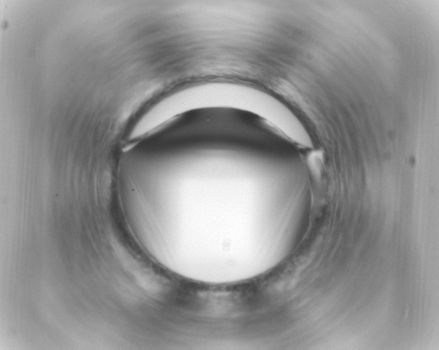 X0000088660448200706221639