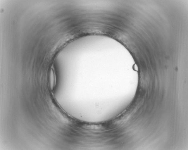 X0000088660449200706221639