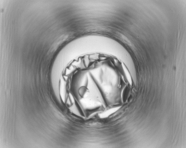 X0000088660452200706221639