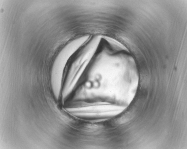 X0000088660453200706221639