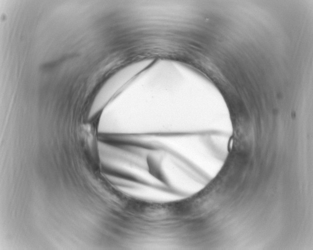 X0000088660454200706221639