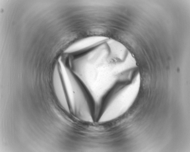 X0000088660455200706221639
