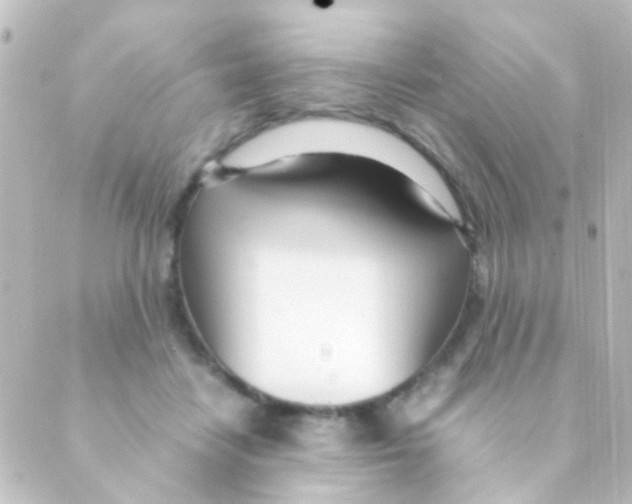 X0000088660458200706221639