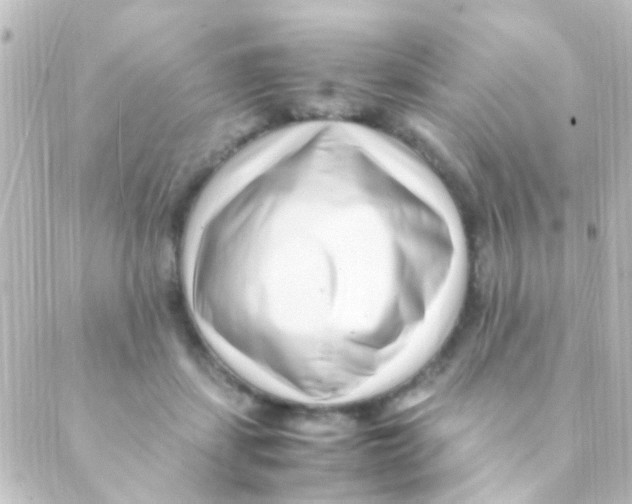 X0000088660459200706221639