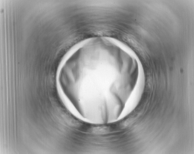 X0000088660461200706221639