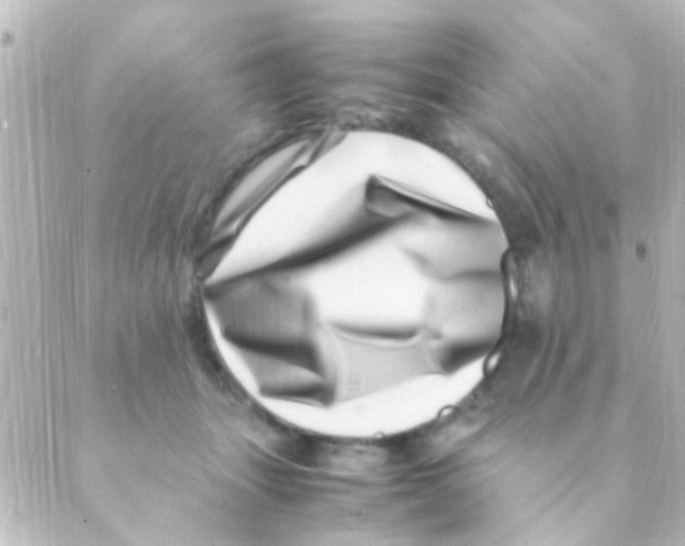 X0000088660463200706221640
