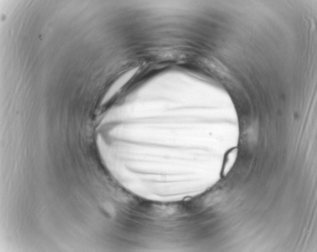 X0000088660469200706221640