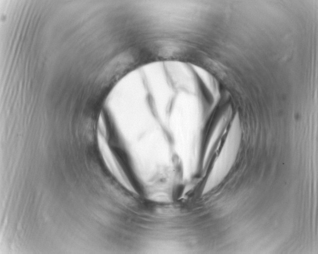 X0000088660470200706221640