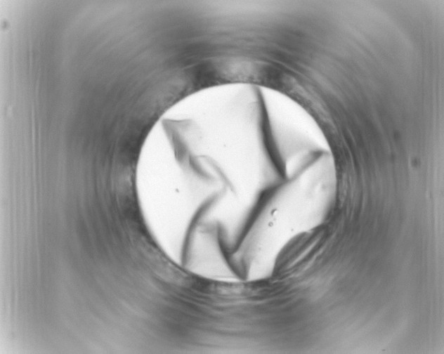 X0000088660473200706221640