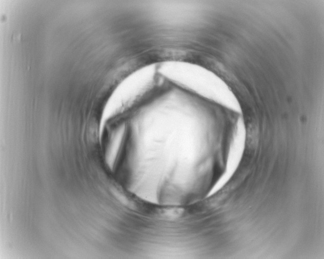 X0000088660474200706221640
