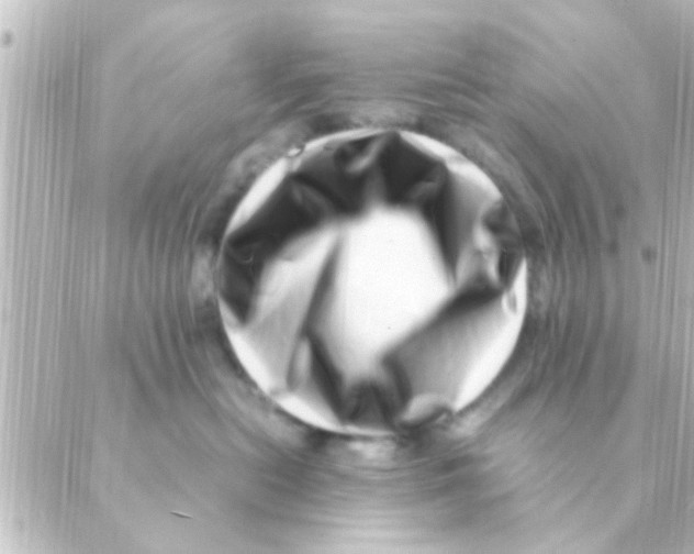 X0000088660478200706221640