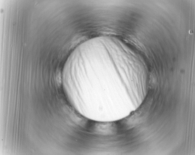 X0000088660479200706221640