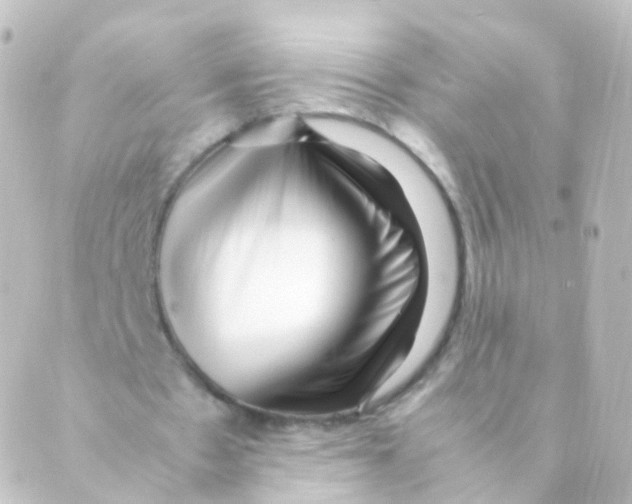 X0000088660481200706221639