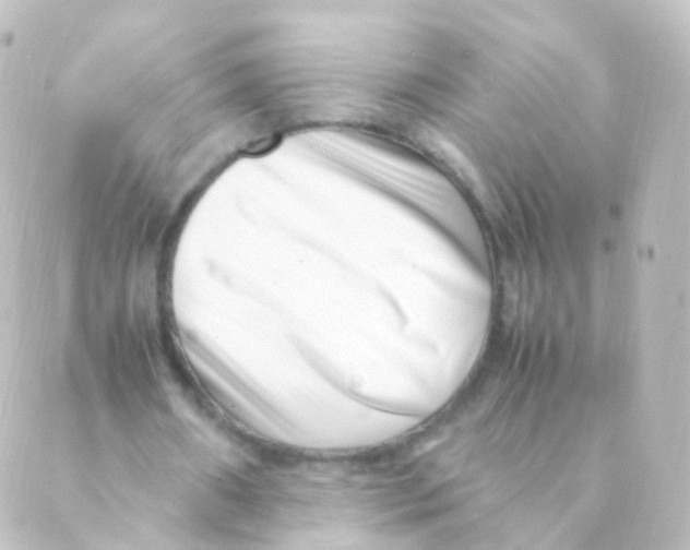 X0000088660482200706221639