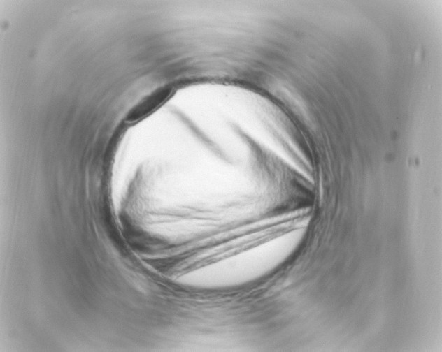X0000088660483200706221639