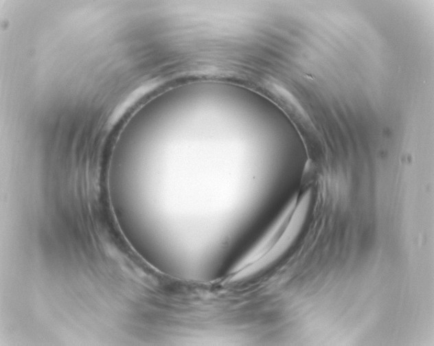 X0000088660484200706221639