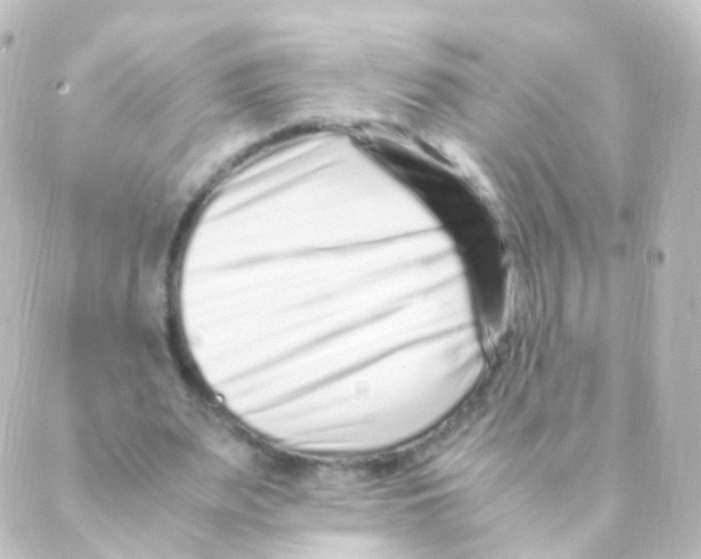 X0000088660487200706221639