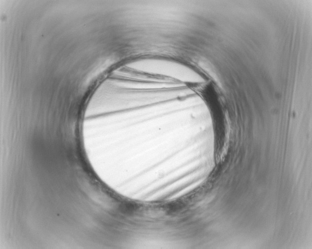 X0000088660491200706221639