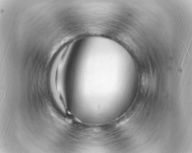 X0000088660492200706221639