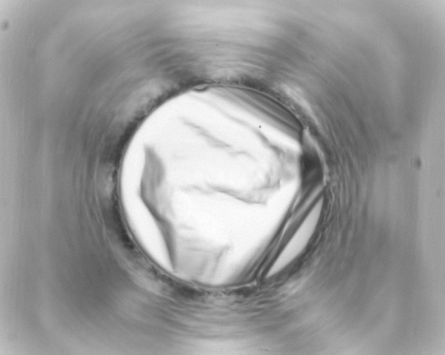 X0000088660495200706221639