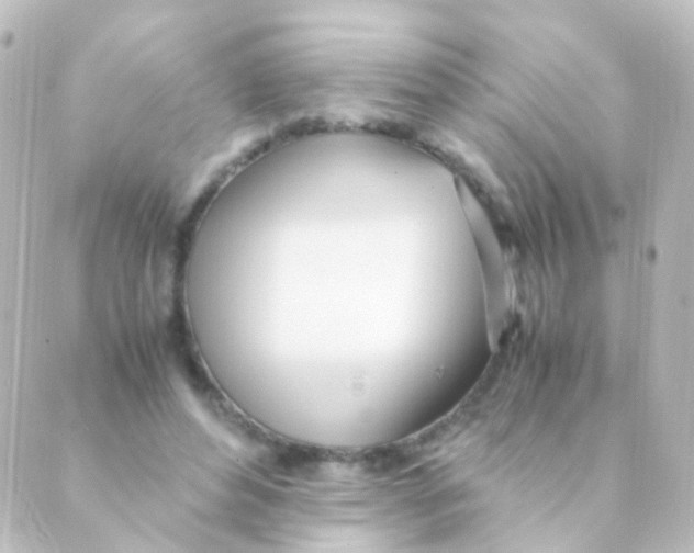 X0000088660496200706221639