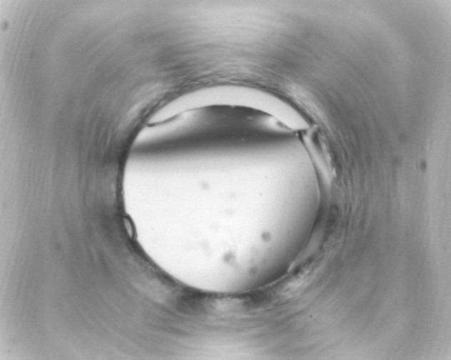 X0000088660501200706221639