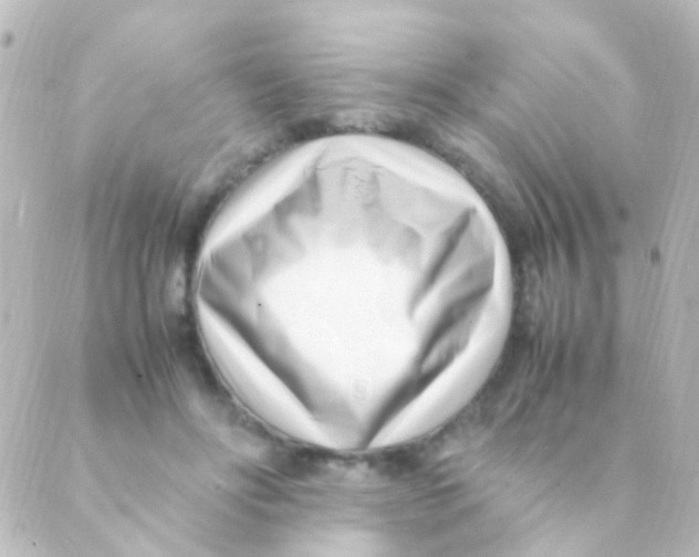 X0000088660502200706221639