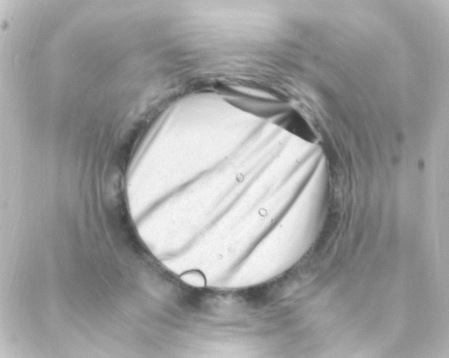 X0000088660503200706221639