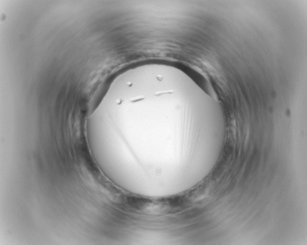 X0000088660504200706221639