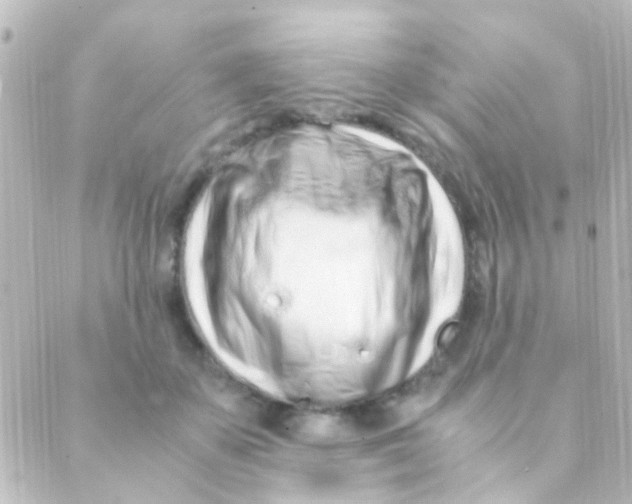 X0000088660507200706221639