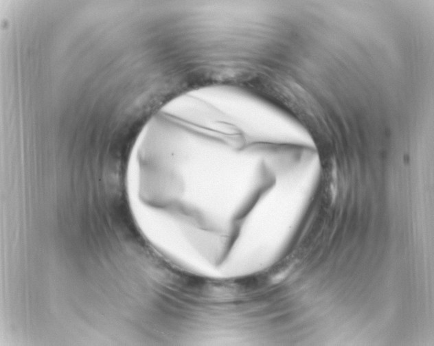 X0000088660510200706221639