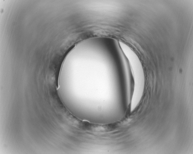 X0000088660513200706221638