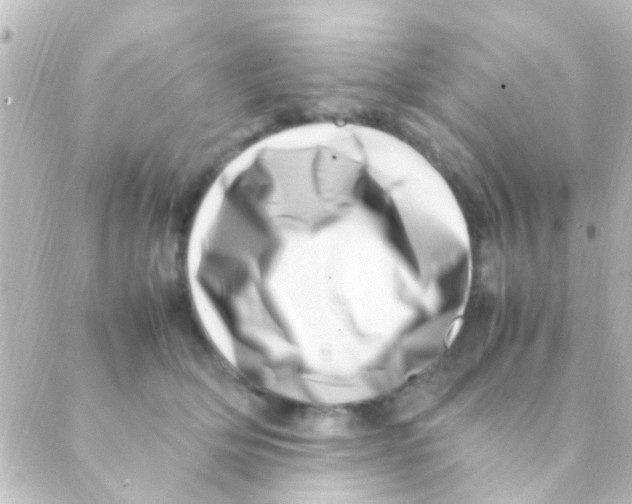 X0000088660514200706221638