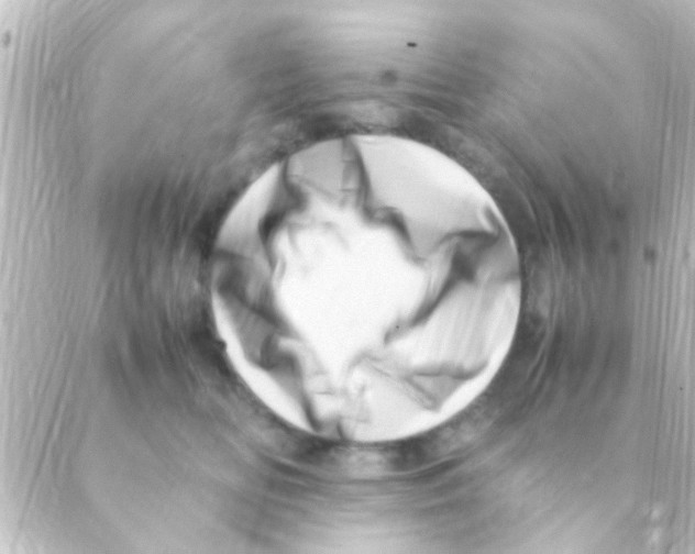 X0000088660518200706221638