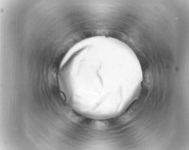 X0000088660522200706221638