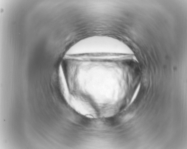 X0000088660523200706221638