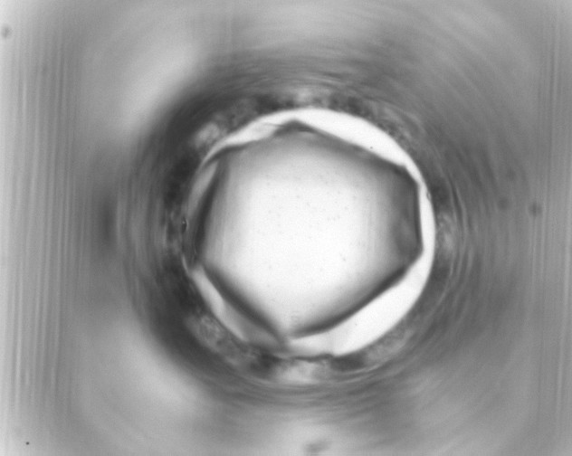 X0000088660527200706221638