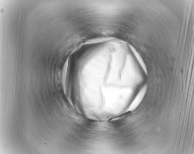 X0000088660528200706221638